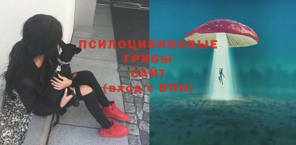 прущая мука Гусев