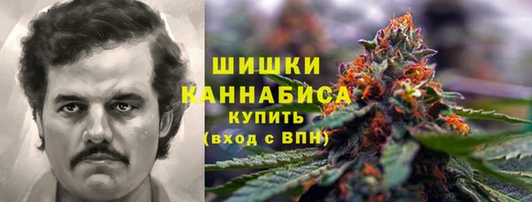 гашик Горняк
